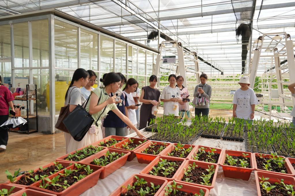 绘梦新起点 启航新征程：我院开展2025级新生入学教育周