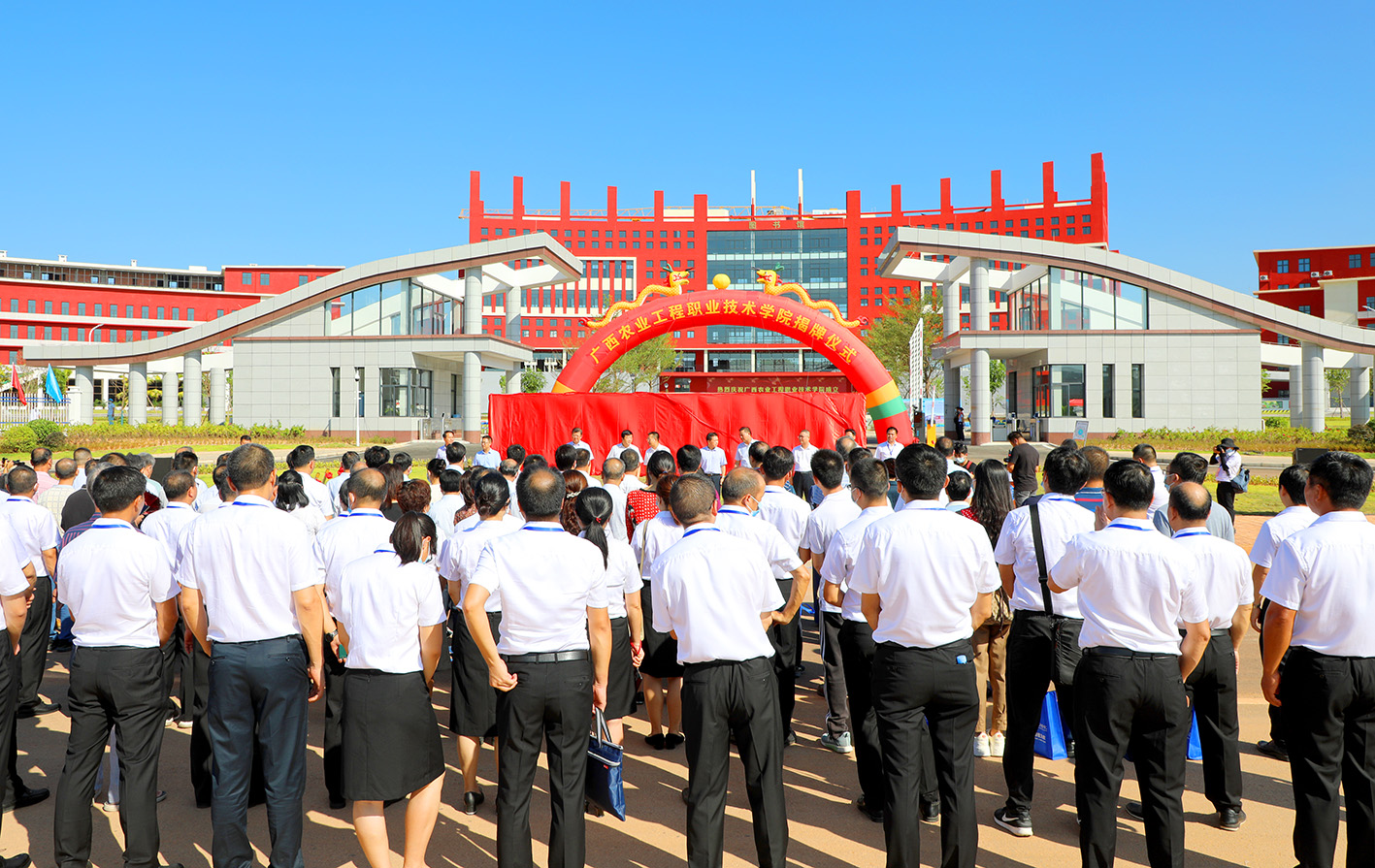 传网上2揭牌仪式现场.jpg